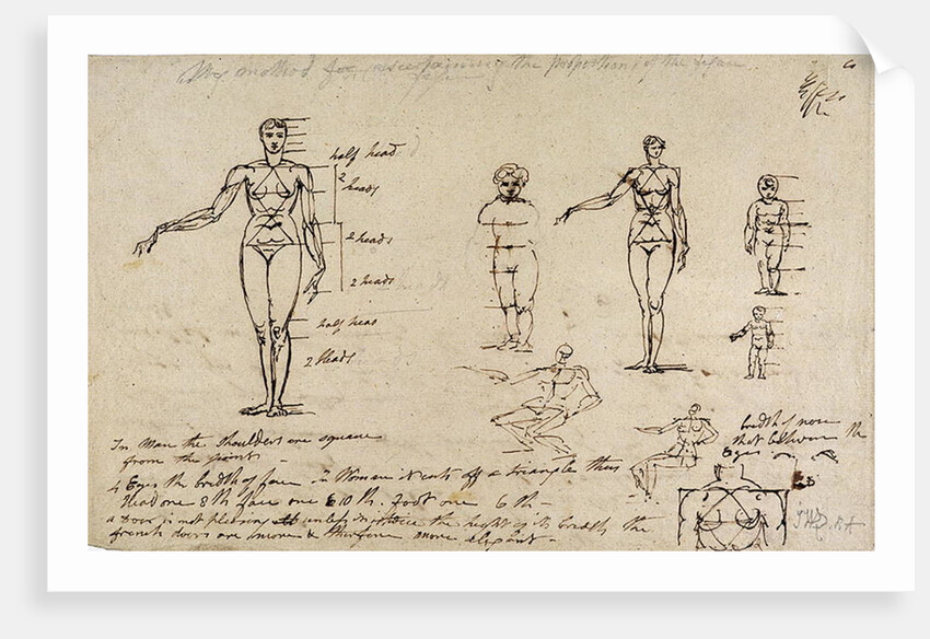Studies of anatomy with measurements and writing by James Ward