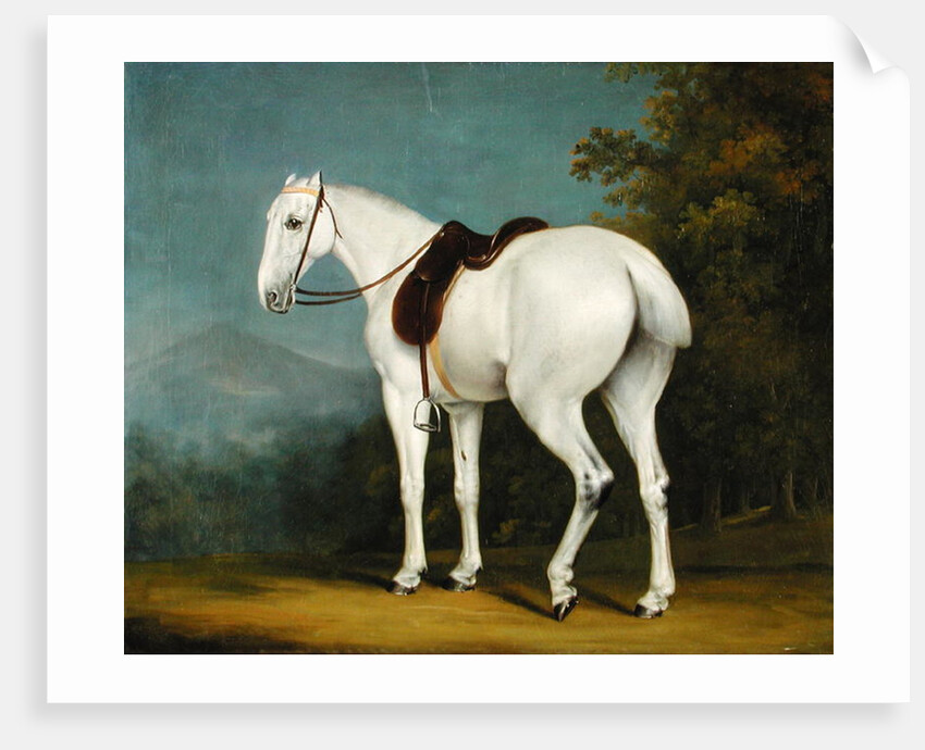 A Lady's Grey Hunter, c.1806 by Jacques-Laurent Agasse