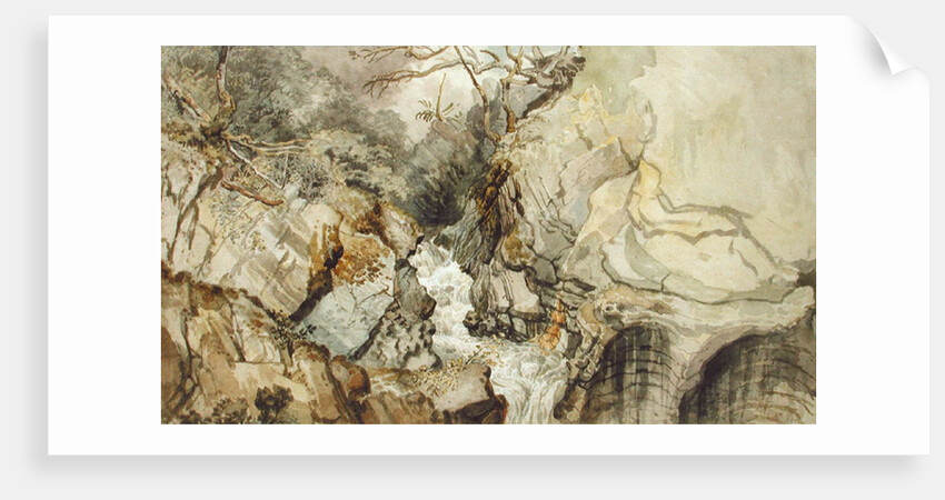 Looking Upwards from Devil's Bridge, Cardiganshire by James Ward