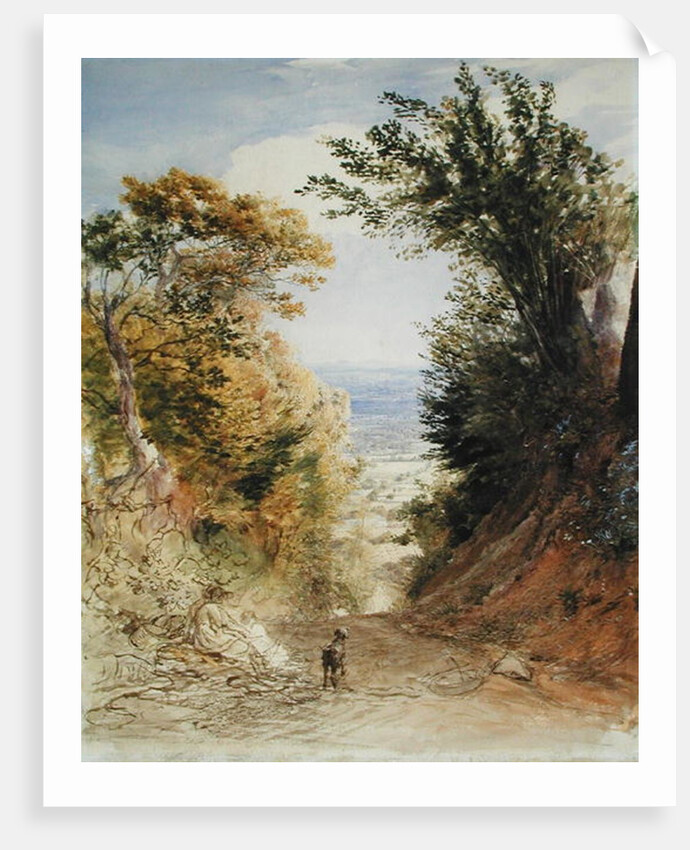 View from Rook's Hill, Kent, 1843 by Samuel Palmer