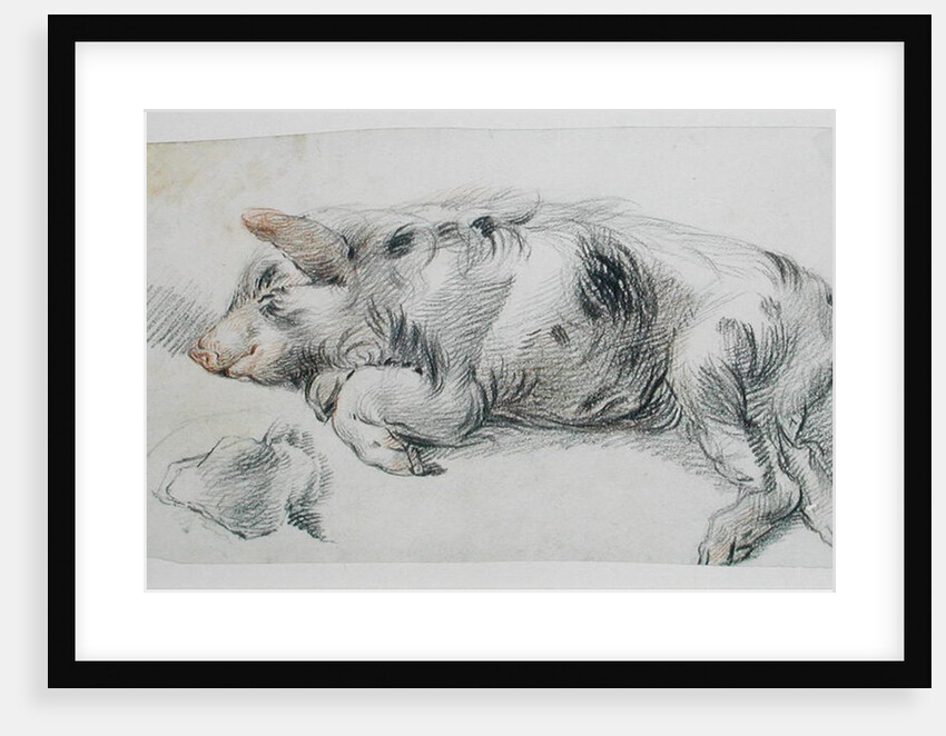 Sleeping Pig by James Ward