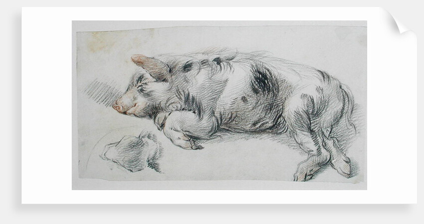 Sleeping Pig by James Ward