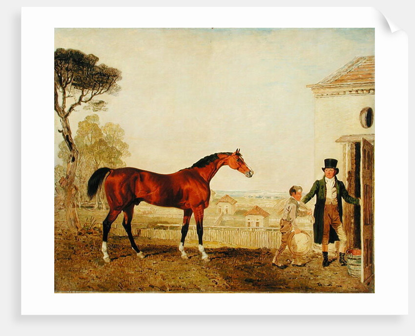 Sultan at the Marquess of Exeter's Stud, Burghley, 1826 by Lambert Marshall
