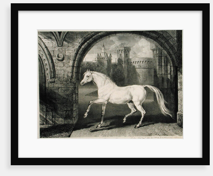 A Persian Horse by James Ward