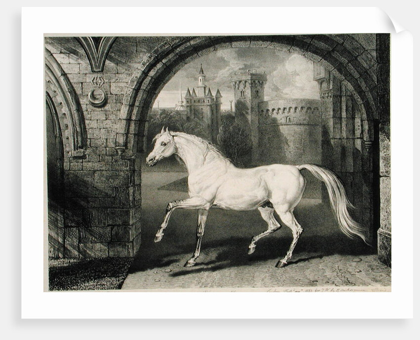 A Persian Horse by James Ward