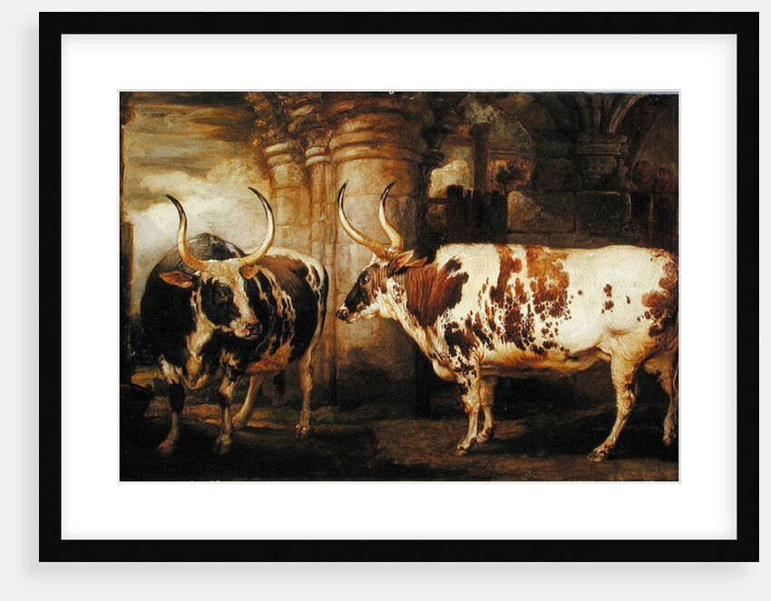 Portraits of two extraordinary oxen, the property of the Earl of Powis, 1814 by James Ward
