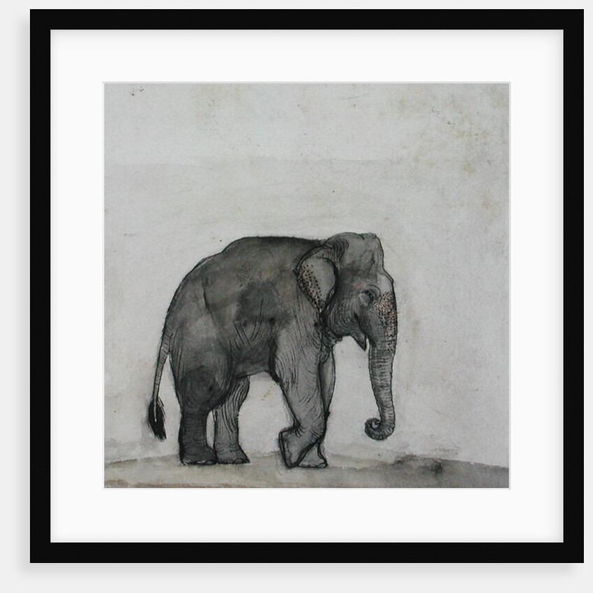 Elephant, c.1790 by Gungaram Tambat