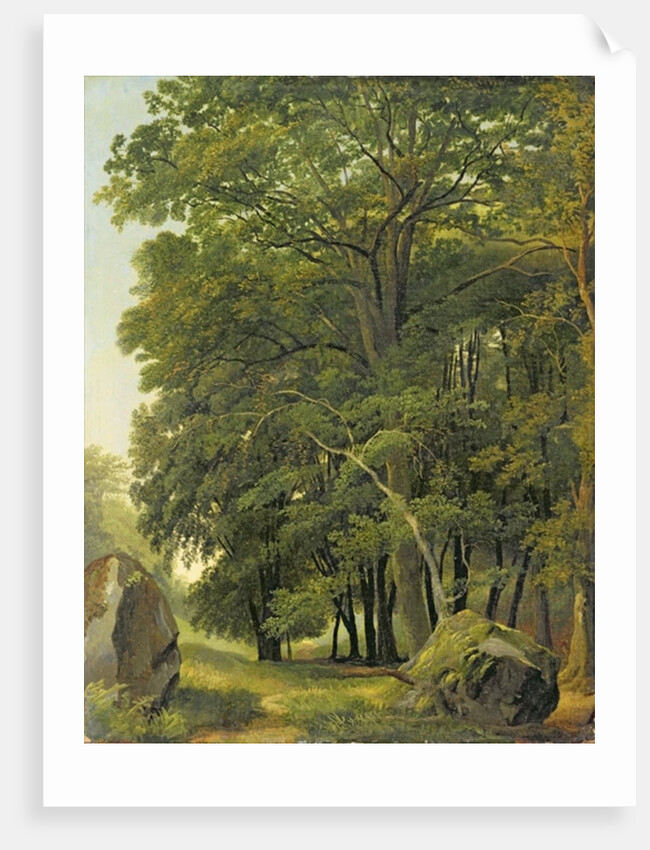 A Wooded Landscape by Ramsay Richard Reinagle