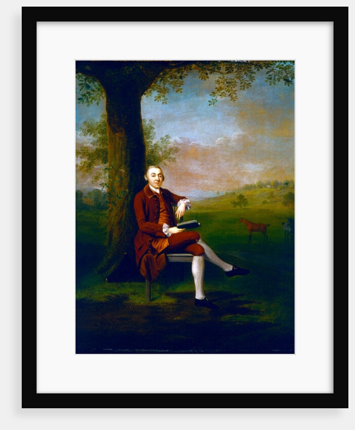 Portrait possibly of John Trevor, 3rd Baron Trevor of St. Anne's Hill, Surrey and Trevalyn Hall, Denbighshire, 1763 by Arthur Devis