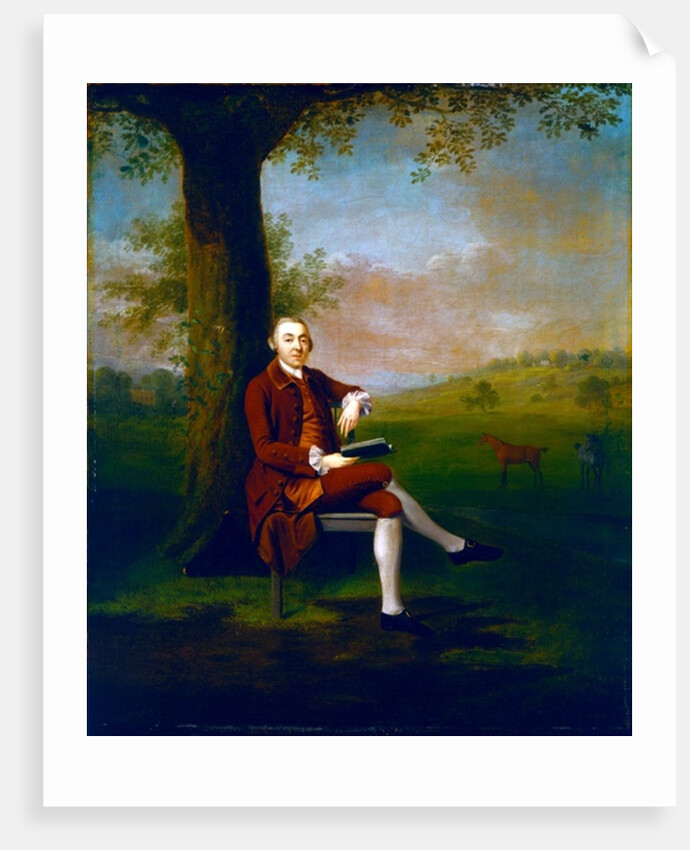 Portrait possibly of John Trevor, 3rd Baron Trevor of St. Anne's Hill, Surrey and Trevalyn Hall, Denbighshire, 1763 by Arthur Devis