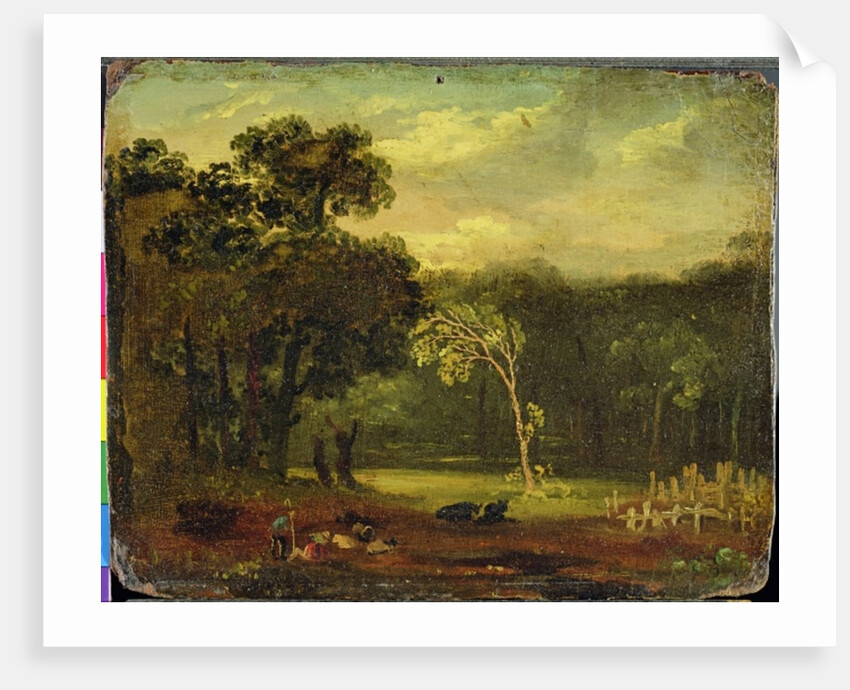 Sketch from Nature in Sion Park, 1819 by Samuel Palmer