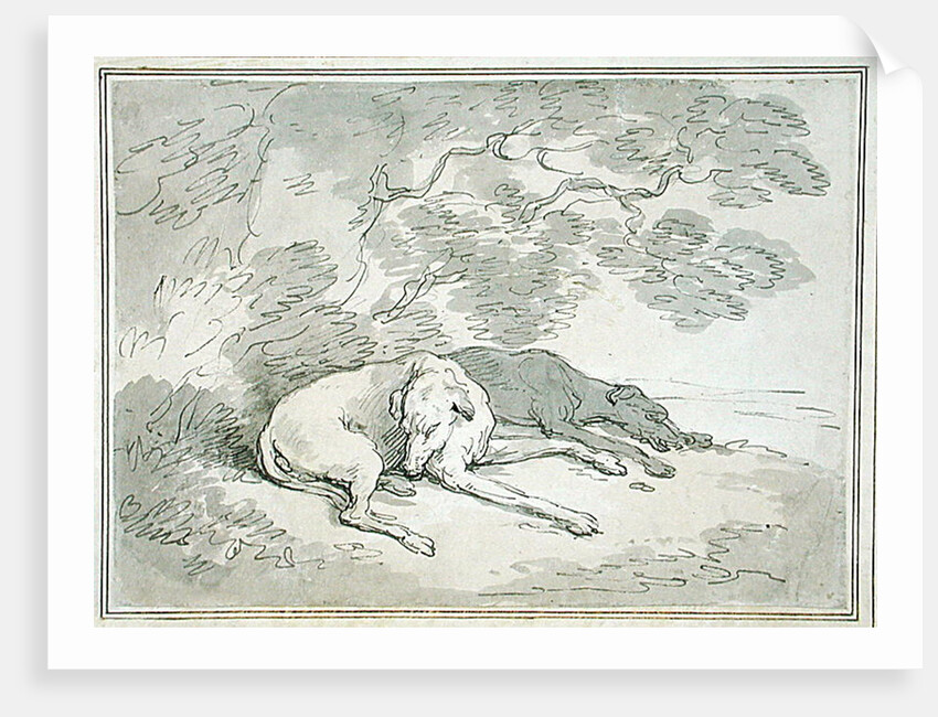Greyhounds Asleep, by Thomas Rowlandson