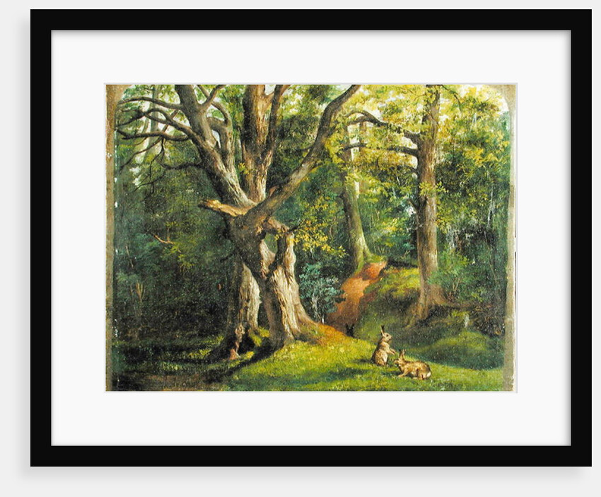 Woodland Scene with Rabbits, 1862 by Hubert von Herkomer