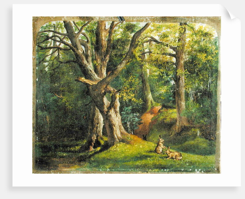 Woodland Scene with Rabbits, 1862 by Hubert von Herkomer
