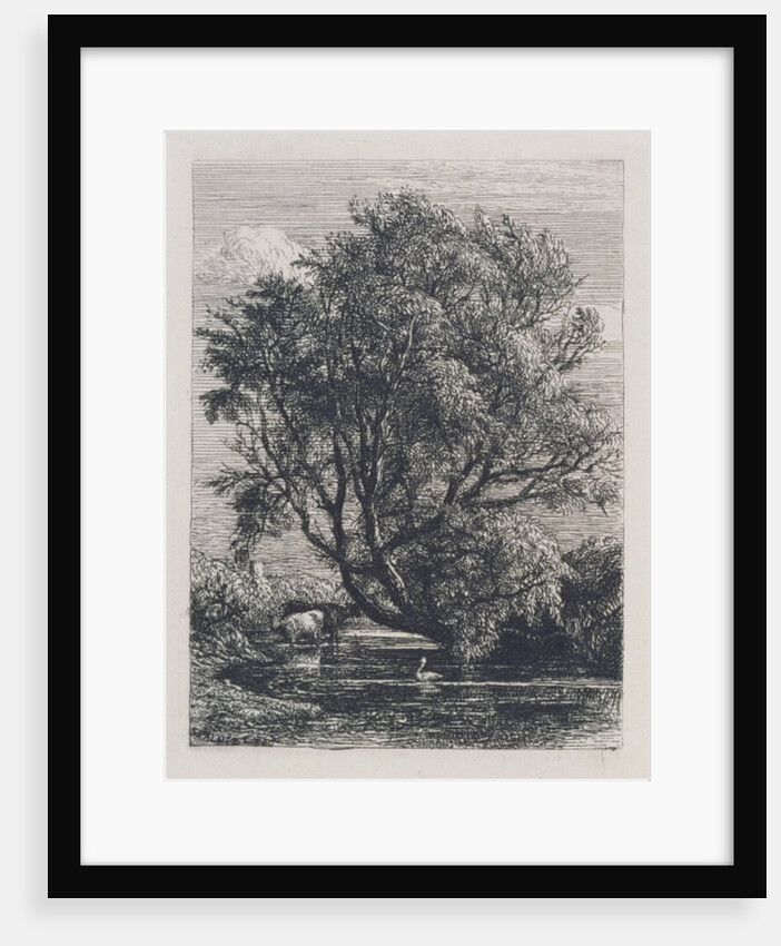 The Willow by Samuel Palmer