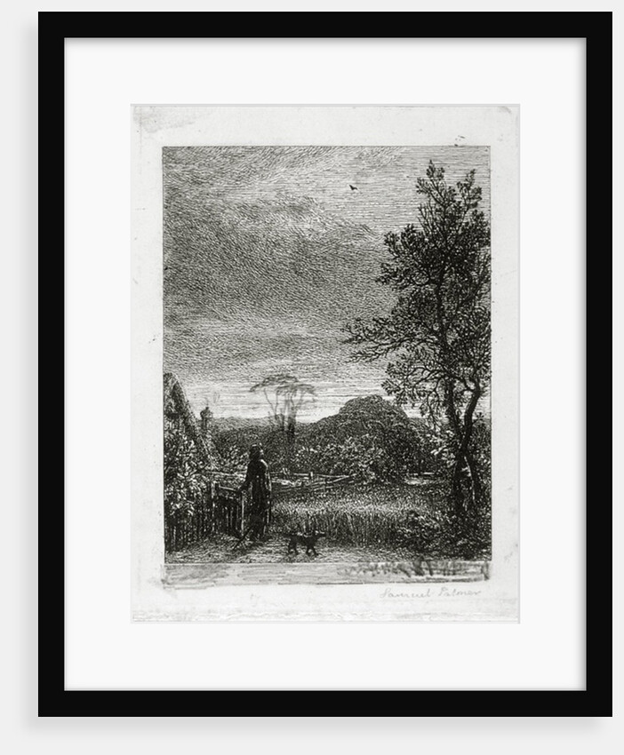 The Skylark by Samuel Palmer