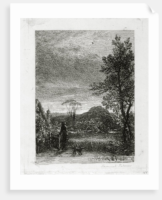 The Skylark by Samuel Palmer