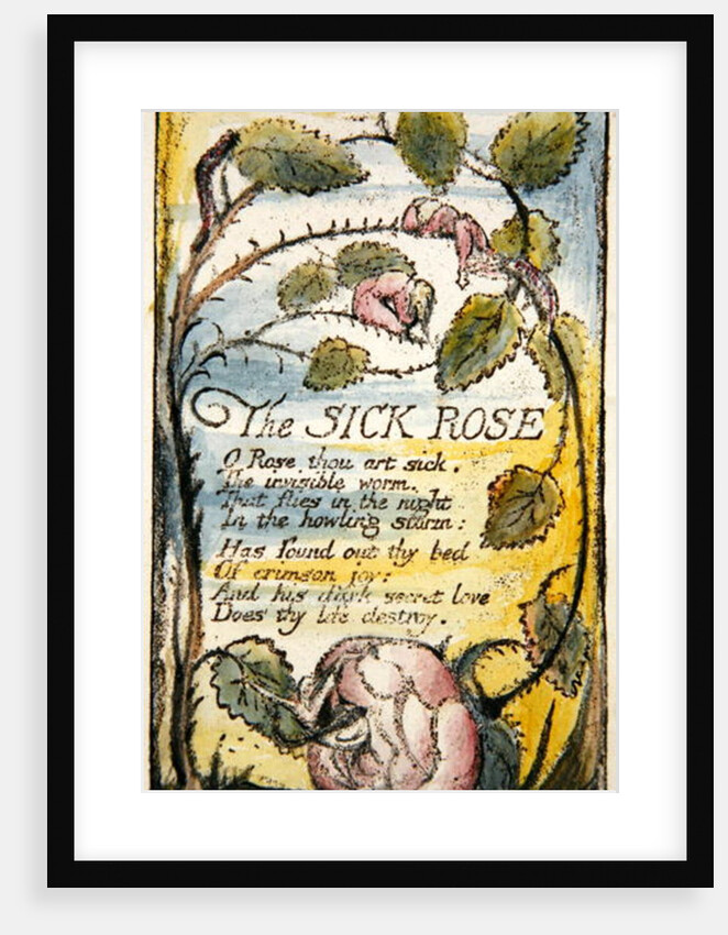 The Sick Rose by William Blake