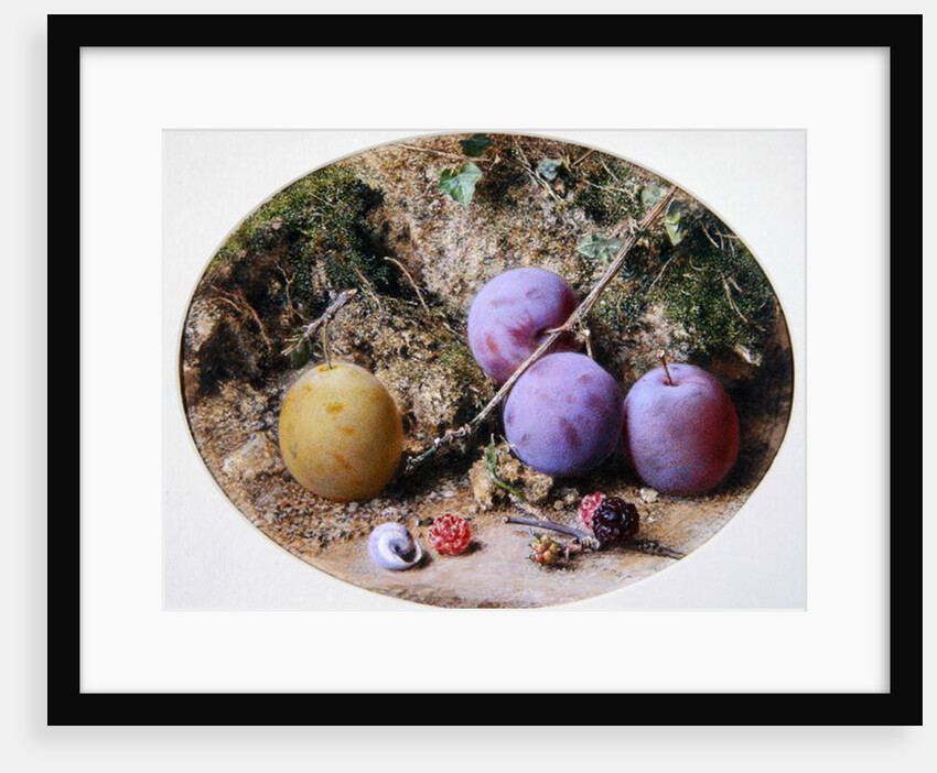 Plums and Mulberries, c.1860 by William Henry Hunt
