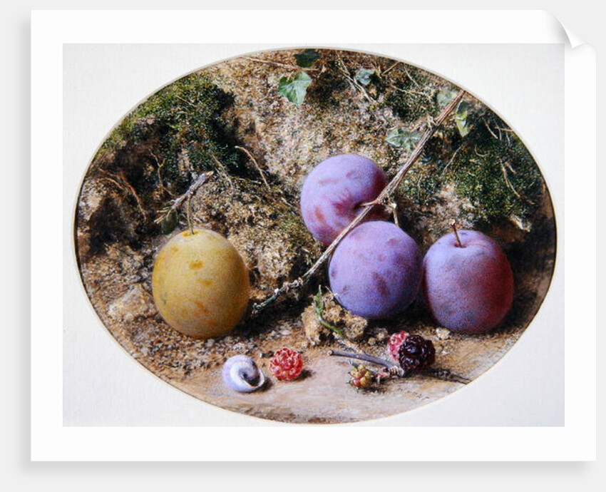 Plums and Mulberries, c.1860 by William Henry Hunt