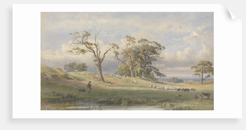 Old British Camp in Bulstrode Park, 1860 by George Arthur Fripp