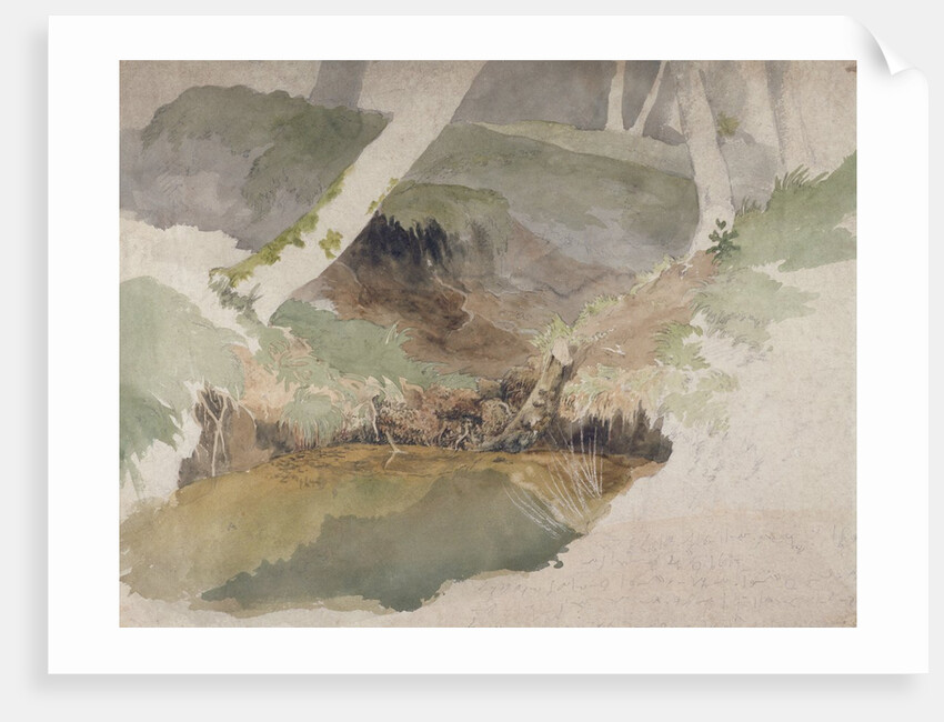 Forest Pool by Robert Hills