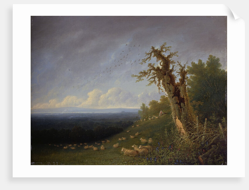 Shepherd Boy on a Hillside by William (1789-1862) Turner