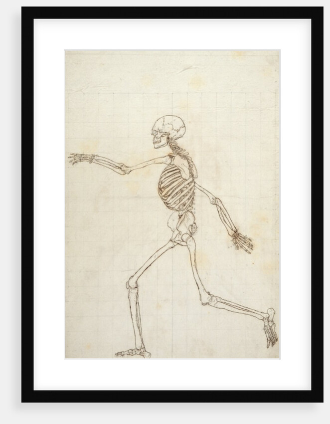 Study of the Human Figure, Lateral View by George Stubbs