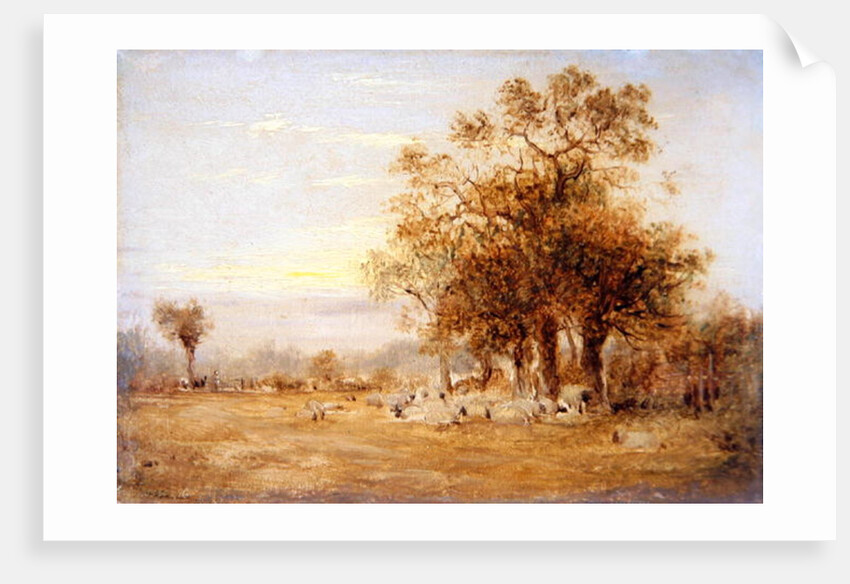 Sheep Grazing, 1835 by John Linnell