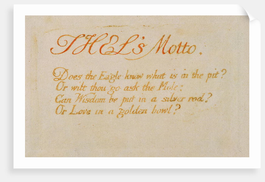 Thel's Motto... by William Blake