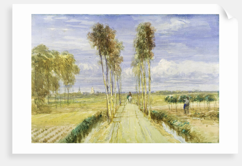 The Poplar Avenue by David Cox