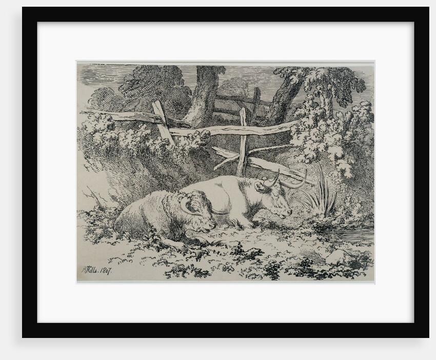 Cattle Resting, 1807 by Robert Hills