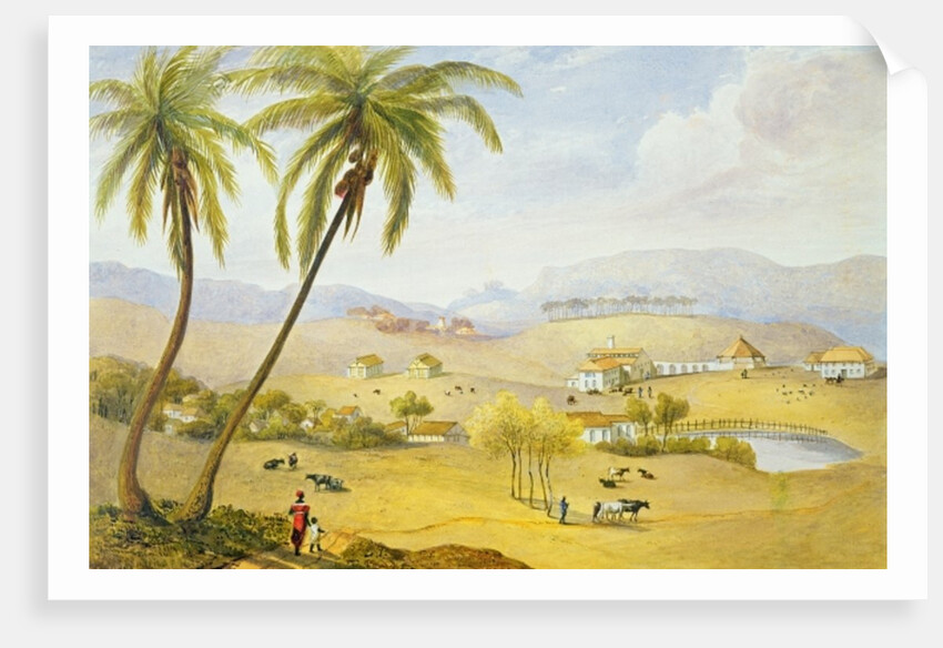 Haughton Court, Hanover, Jamaica, c.1820 by James Hakewill