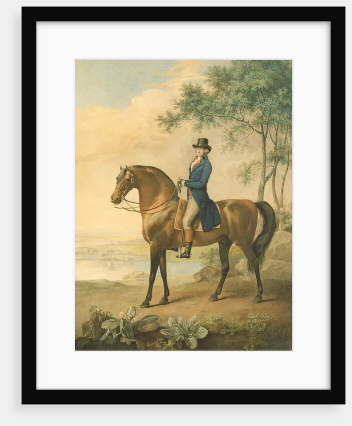 Warren Hastings on his Arabian Horse, 1796 by George Townley Stubbs