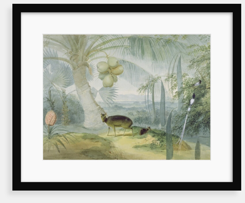 A Landscape in Ceylon, with Barking Deer and Fawn and a pair of Paradise Fly-Catchers, c.1808-11 by Samuel Daniell