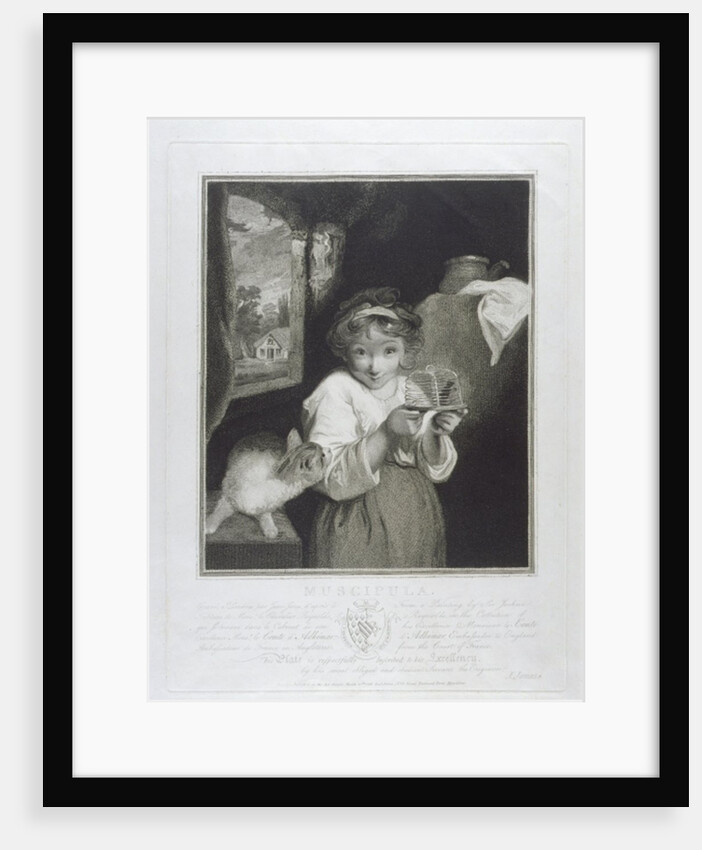 Muscipula, engraved by John Jones 1786 by Joshua (after) Reynolds