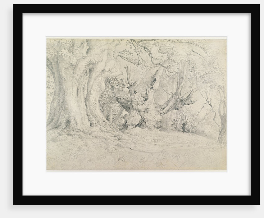 Ancient Trees, Lullingstone Park, 1828 by Samuel Palmer