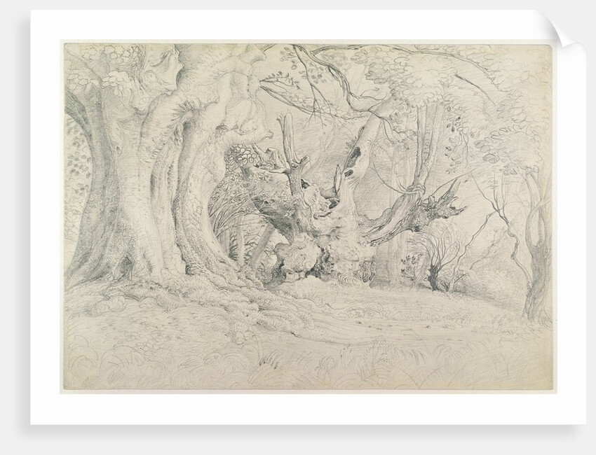 Ancient Trees, Lullingstone Park, 1828 by Samuel Palmer