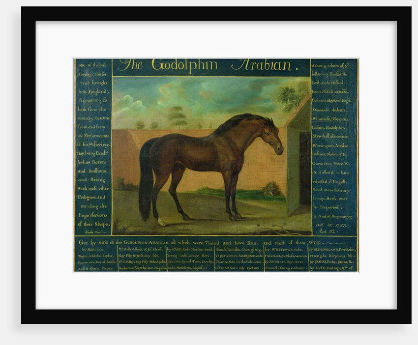 The Godolphin Arabian by D. Quigley