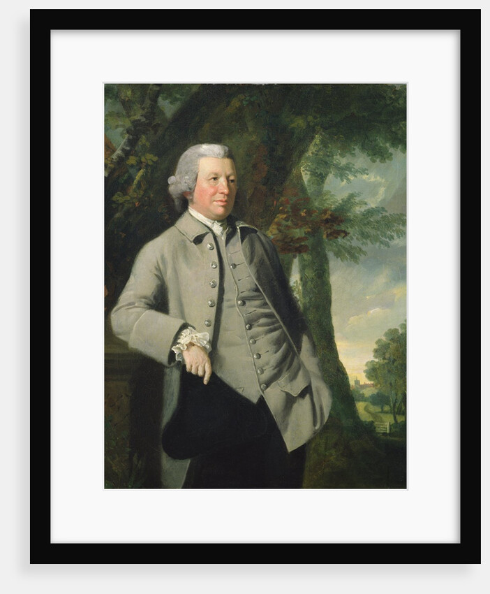 A Country Gentleman, c.1777 by Robert Edge Pine