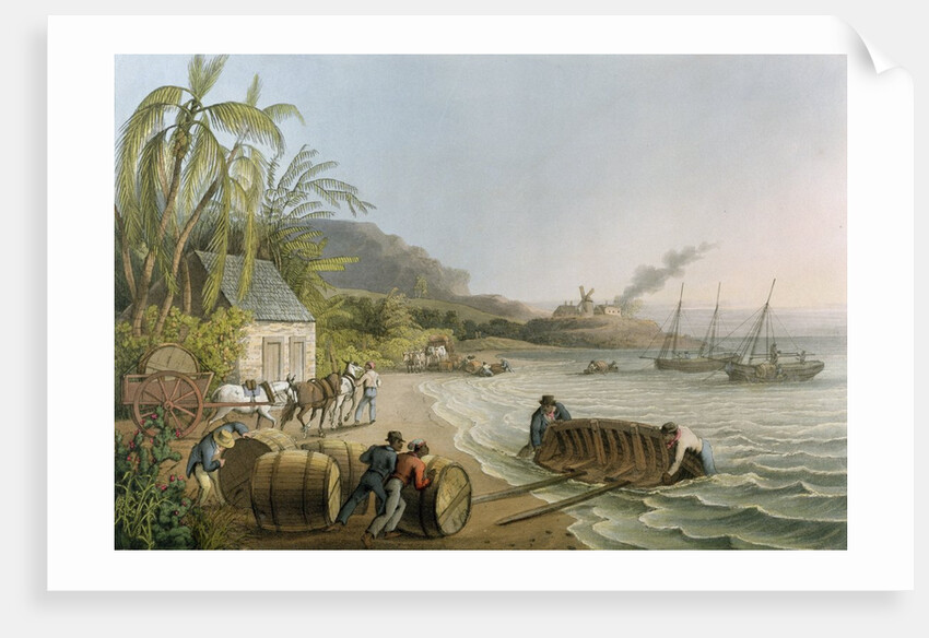 Carting and Putting Sugar Hogsheads on Board' by William Clark