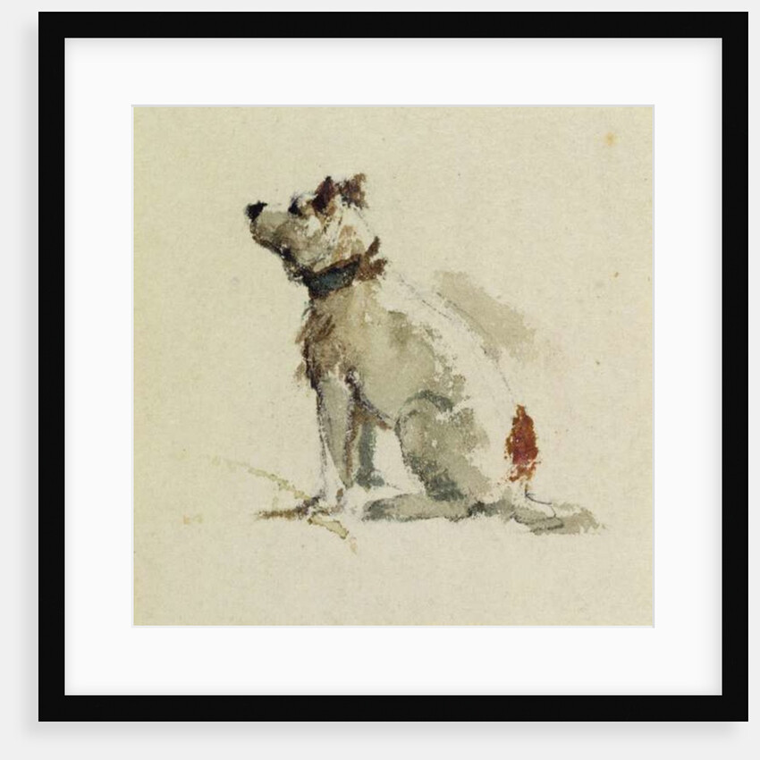A Terrier, sitting facing left by Peter de Wint