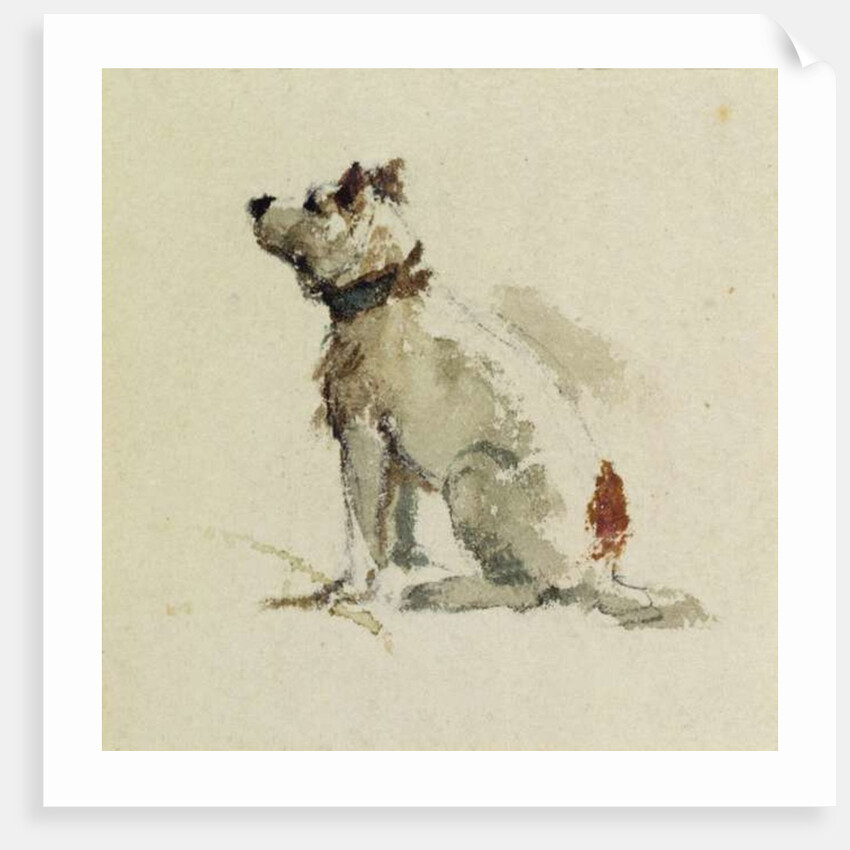 A Terrier, sitting facing left by Peter de Wint