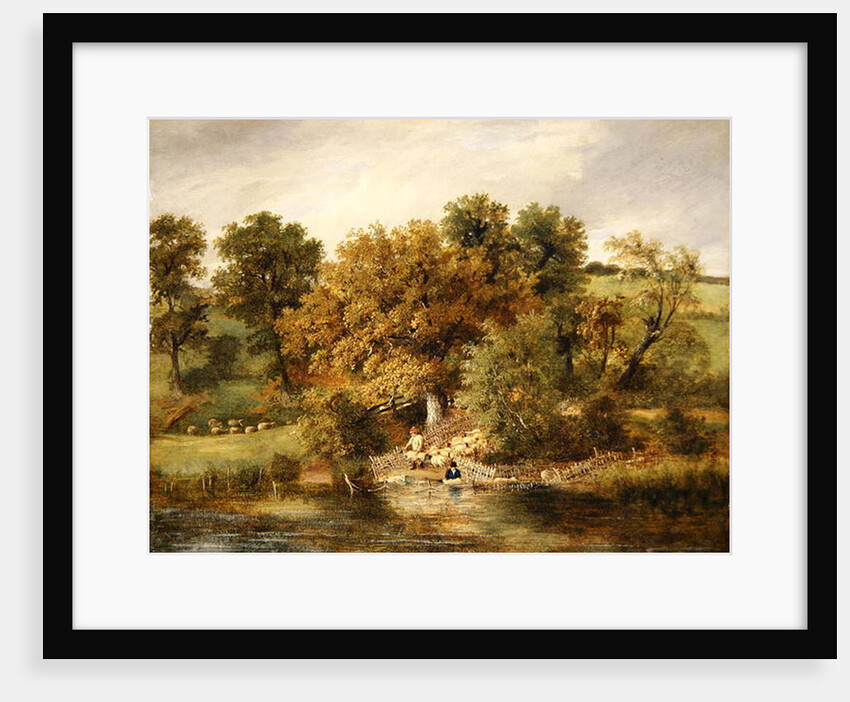 Sheep Washing at Postwick Grove, Norwich, c.1822 by James Stark