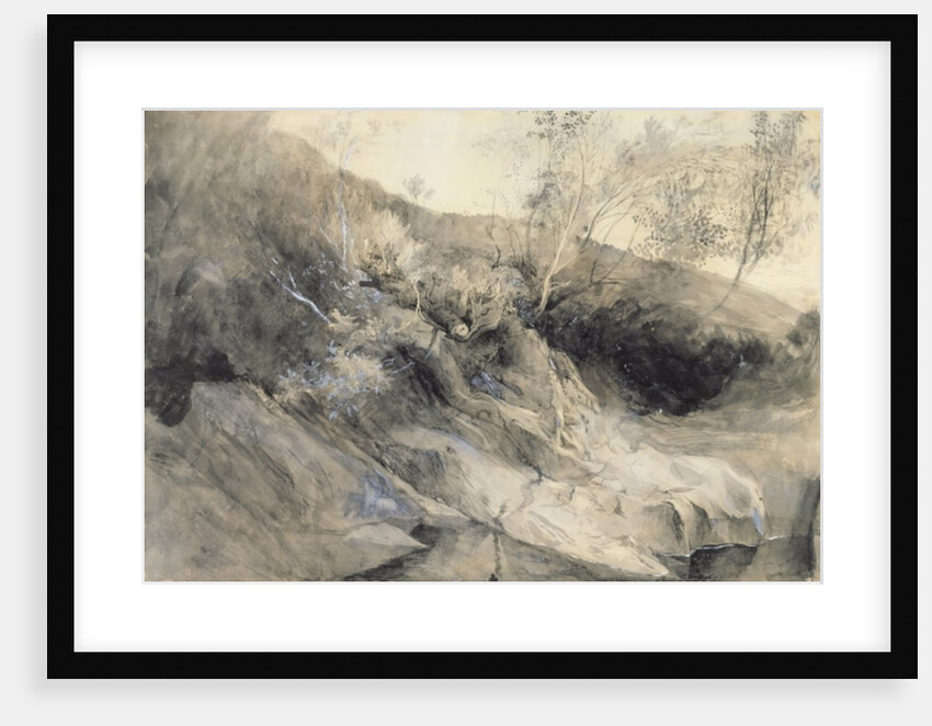 The Rocky Bank of a River - Verso: sketch of foliage, c.1853 by John Ruskin