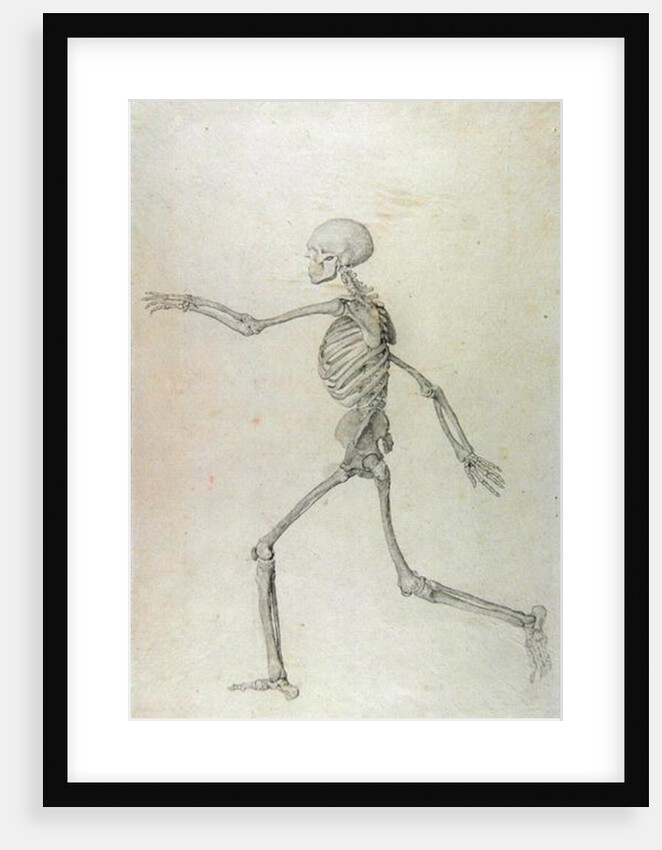 Human Skeleton, Lateral View seen from the Left, Running, 1795-1806 by George Stubbs