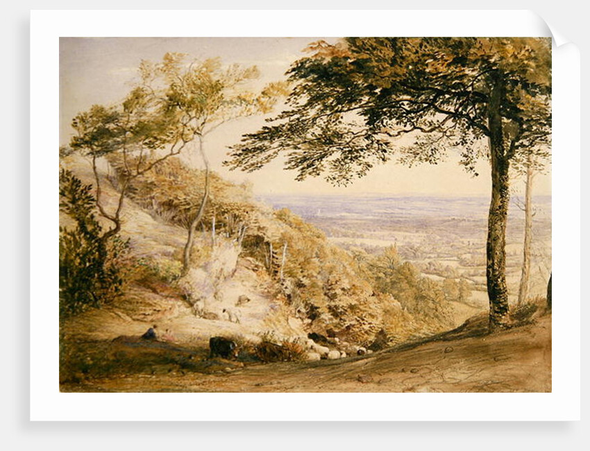 Wilmot's Hill, Kent by Samuel Palmer