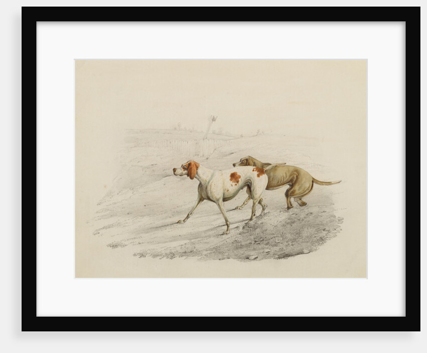 Two Pointers, facing left by Henry Thomas Alken