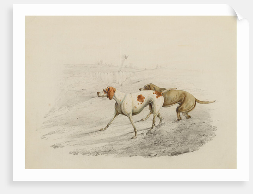 Two Pointers, facing left by Henry Thomas Alken