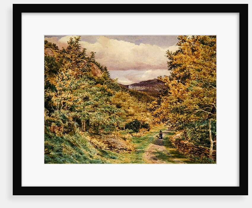 A Road near Bettws-y-Coed, 1851 by George Price Boyce